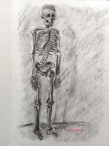 Carboncillo, Osteología Humana, 4 Sesiones, incluye materiales